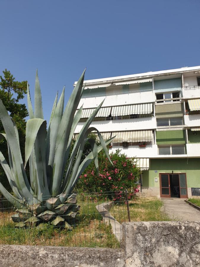 Apartment Maeistro By Privileggio Residence Rovigno Esterno foto